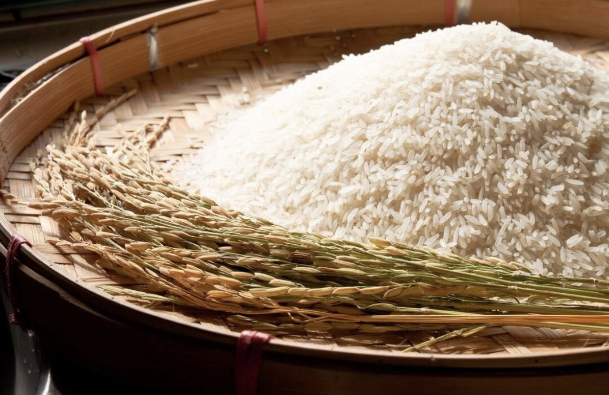 GẠO BASMATI THÔ HỮU CƠ