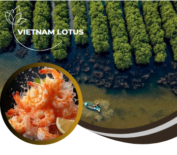 TUYỂN CTV XUẤT KHẨU – CÔNG TY VIETNAM LOTUS