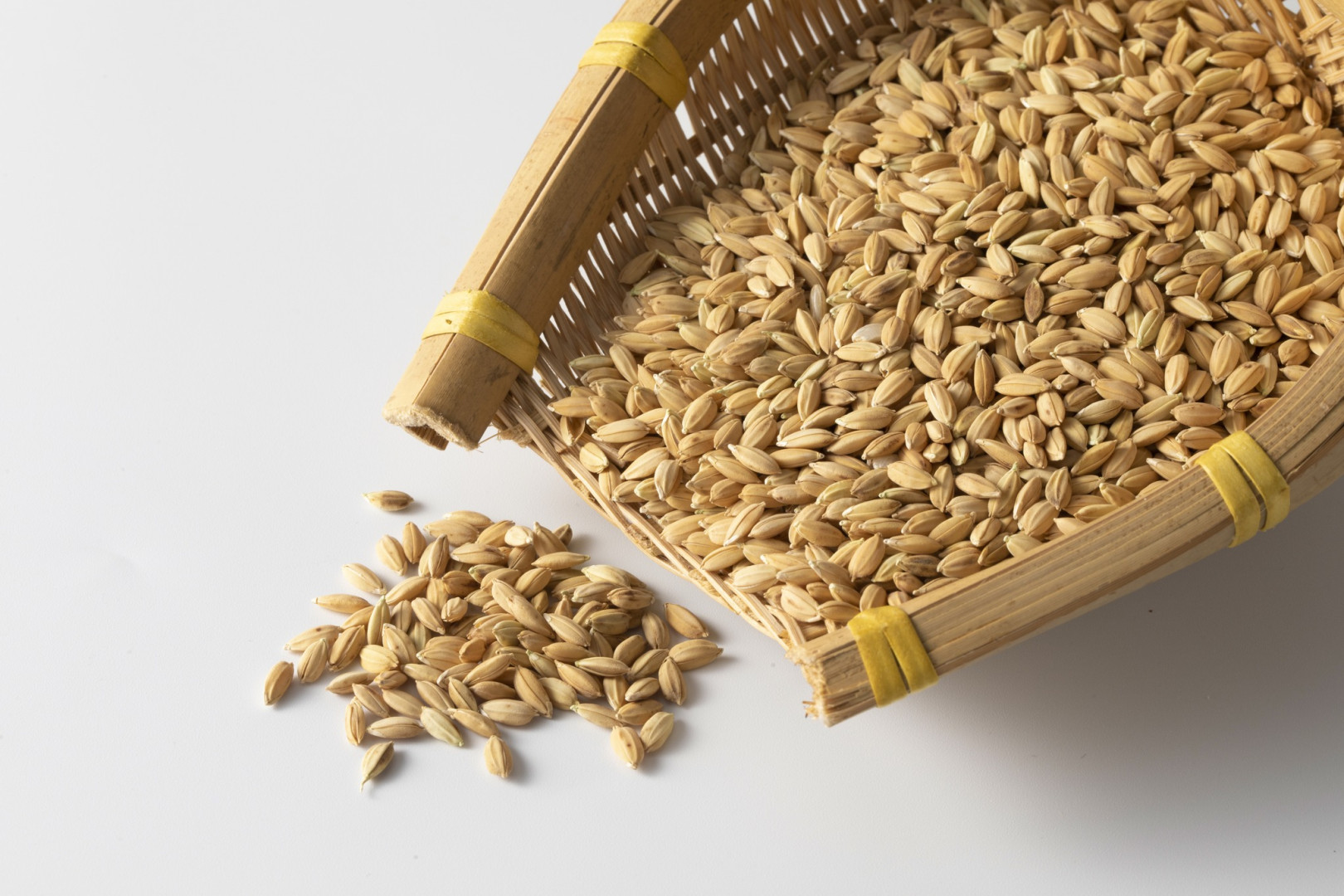 ĐƠN HÀNG XUẤT KHẨU LÚA MÌ – WHEAT WHOLE