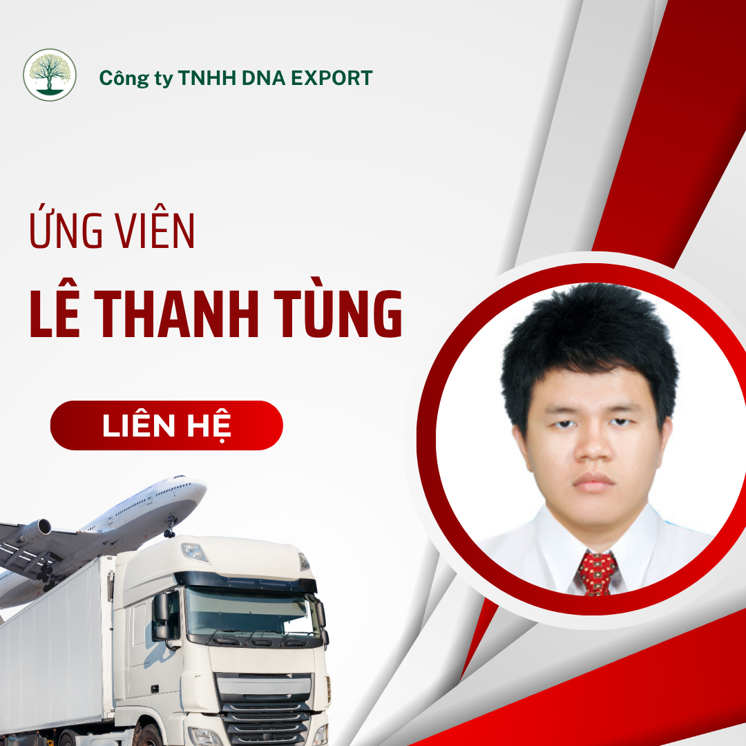 Cv Saes XuẤt KhẨu