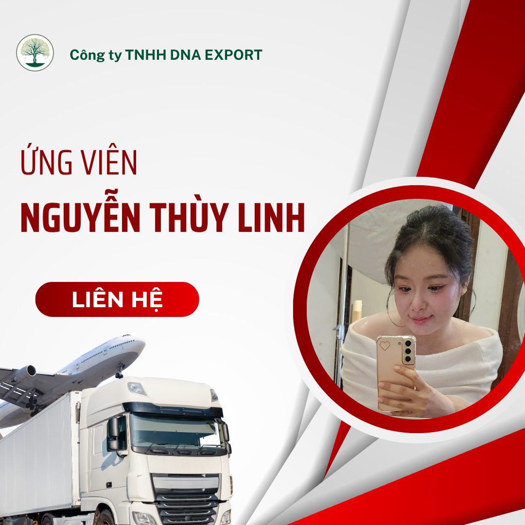 Cv Saes XuẤt KhẨu