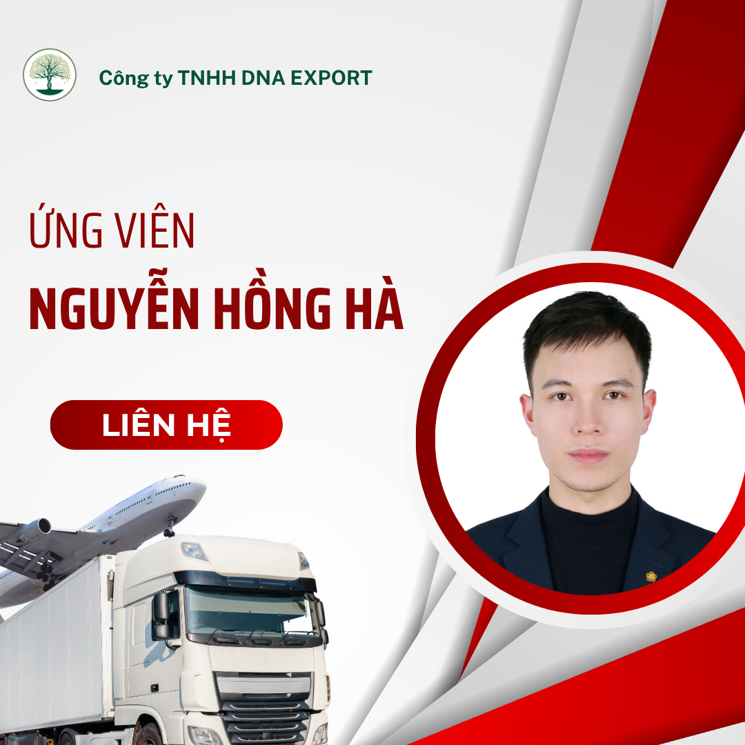 Cv Saes XuẤt KhẨu