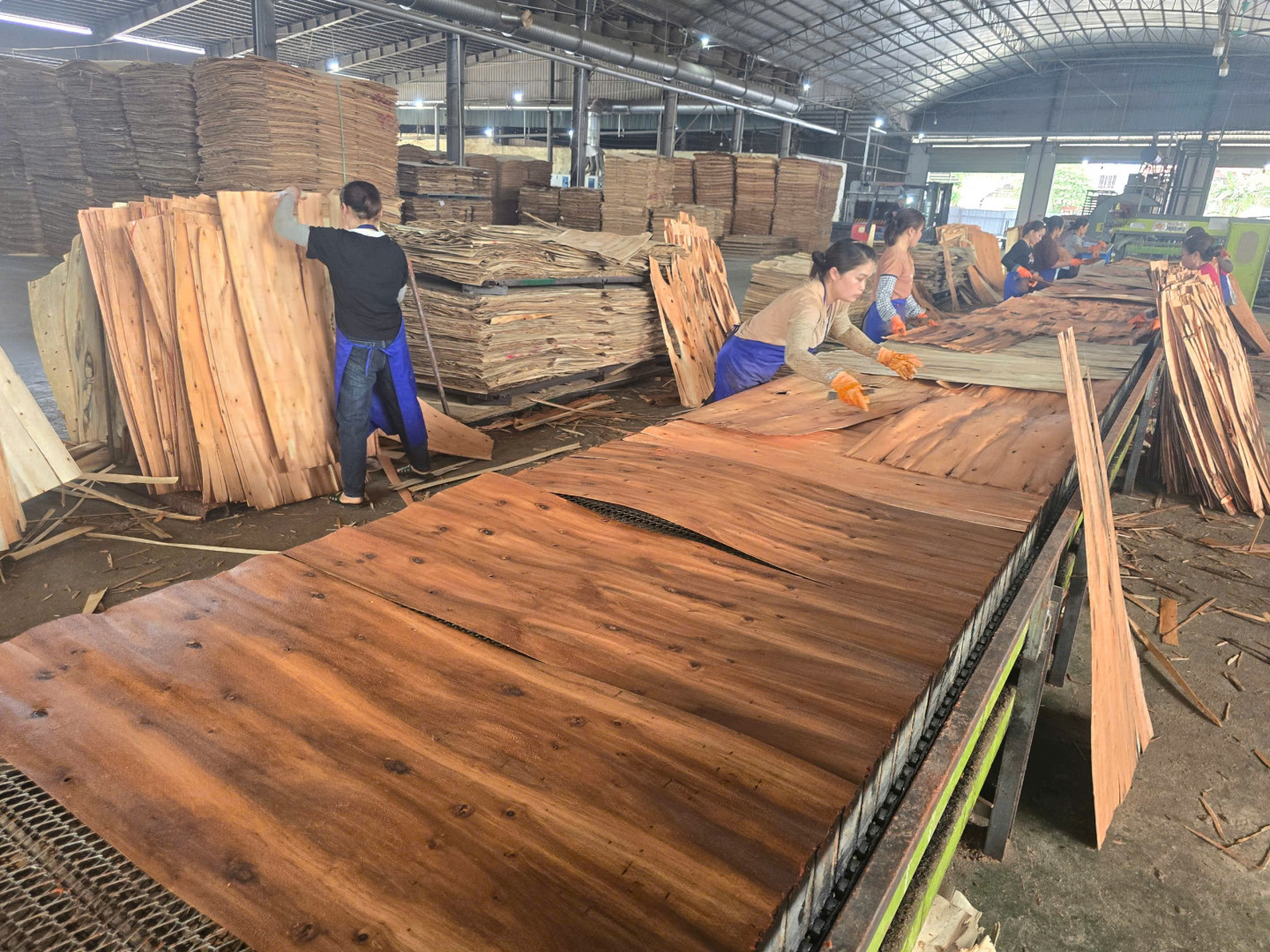 XUẤT KHẨU GỖ VÁN ÉP