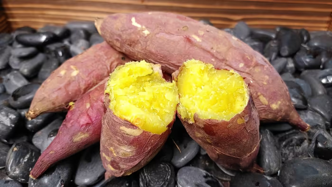 XUẤT KHẨU KHOAI LANG NHẬT