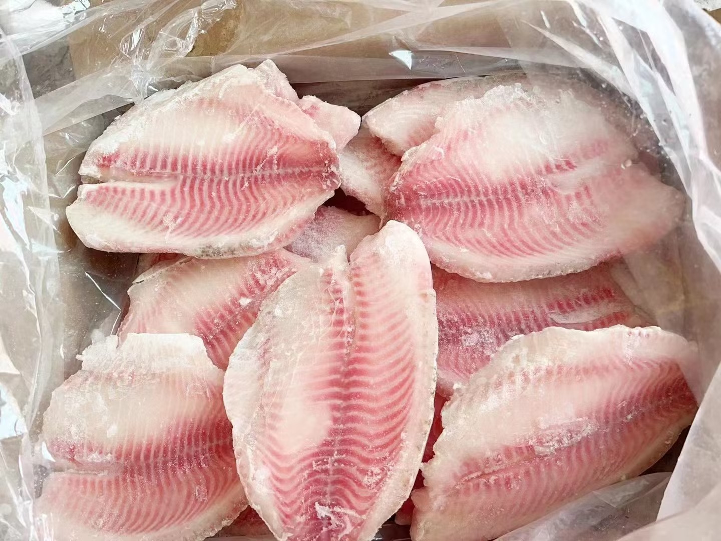 Đơn Hàng Xuất Khẩu Cá Tilapia Fillet Đi Israel – Buyer Cần Kosher Certification, CIF Ashdod/Haifa