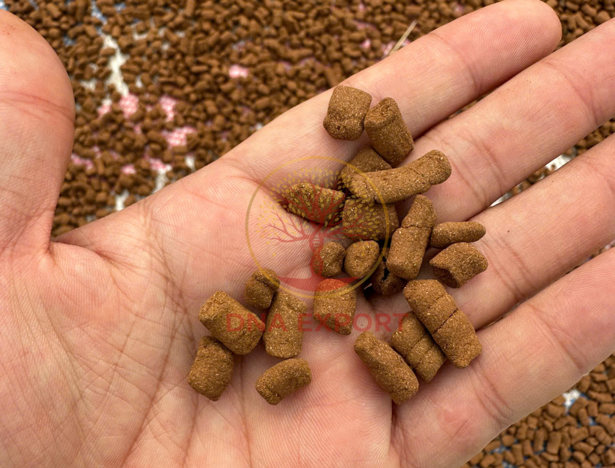 Nguồn Hàng Sản Phẩm Hậu Sự Từ Thảo Dược Tự Nhiên Tại Việt Nam