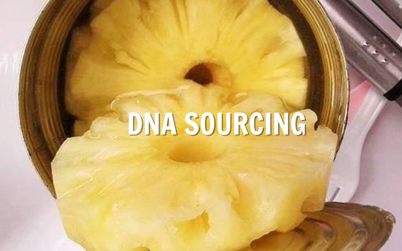 Lorem ipsum dolor sit amet consectetur.