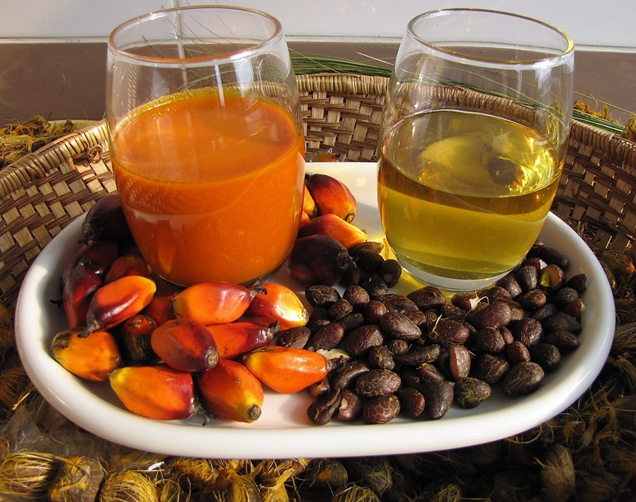 Đơn Hàng Xuất Khẩu Dầu Cọ RSPO Đi Anh – Buyer Cần Palm Oil Sustainable 15 Tấn