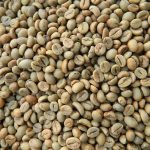 KHÁCH MUA CÀ PHÊ ROBUSTA S18 GRADE; HẠT ĐIỀU W320