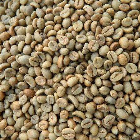 Đơn Hàng Nhập Khẩu Cà Phê Robusta S18 Grade 1 Và Hạt Điều W320 Từ UAE