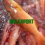 Khách có nhu cầu mua Cá Chẽm Đỏ
