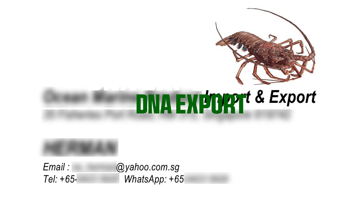 Dna2605.009 (2) Dna