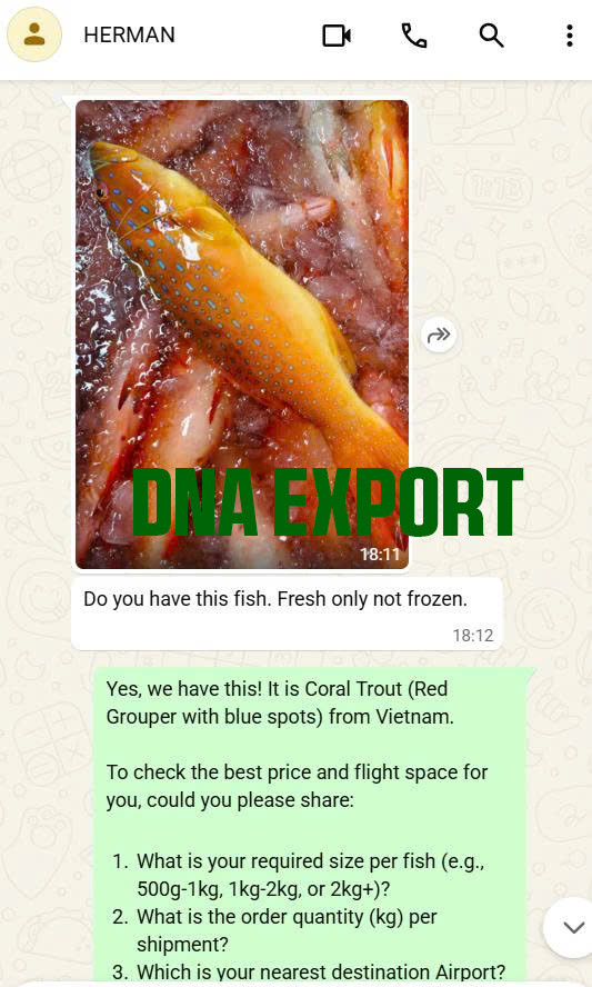 Dna2605.009 (3) Dna
