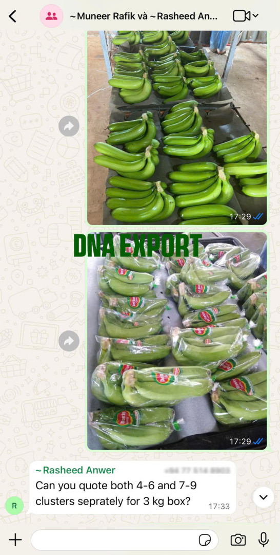 Dna2605 012 (3) Dna
