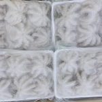Khách có nhu cầu mua Baby Octopus Đông Lạnh
