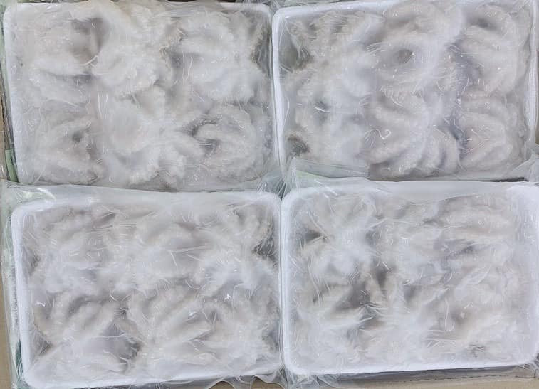 Đơn Hàng Baby Octopus Đông Lạnh Xuất Khẩu Đi Tây Ban Nha – Buyer Cần Báo Giá CFR Barcelona