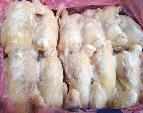 ĐƠN HÀNG ĐÃ XÁC MINH – BUYER SINGAPORE TÌM NHÀ CUNG CẤP GÀ HALAL ĐÔNG LẠNH