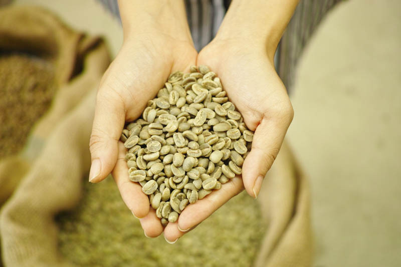 BUYER KUWAIT TÌM NHÀ CUNG CẤP HẠT CÀ PHÊ ARABICA