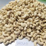 KHÁCH HOA KỲ MUA HẠT ĐIỀU NHÂN W240