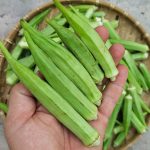 KHÁCH MUA RAU CỦ TƯƠI