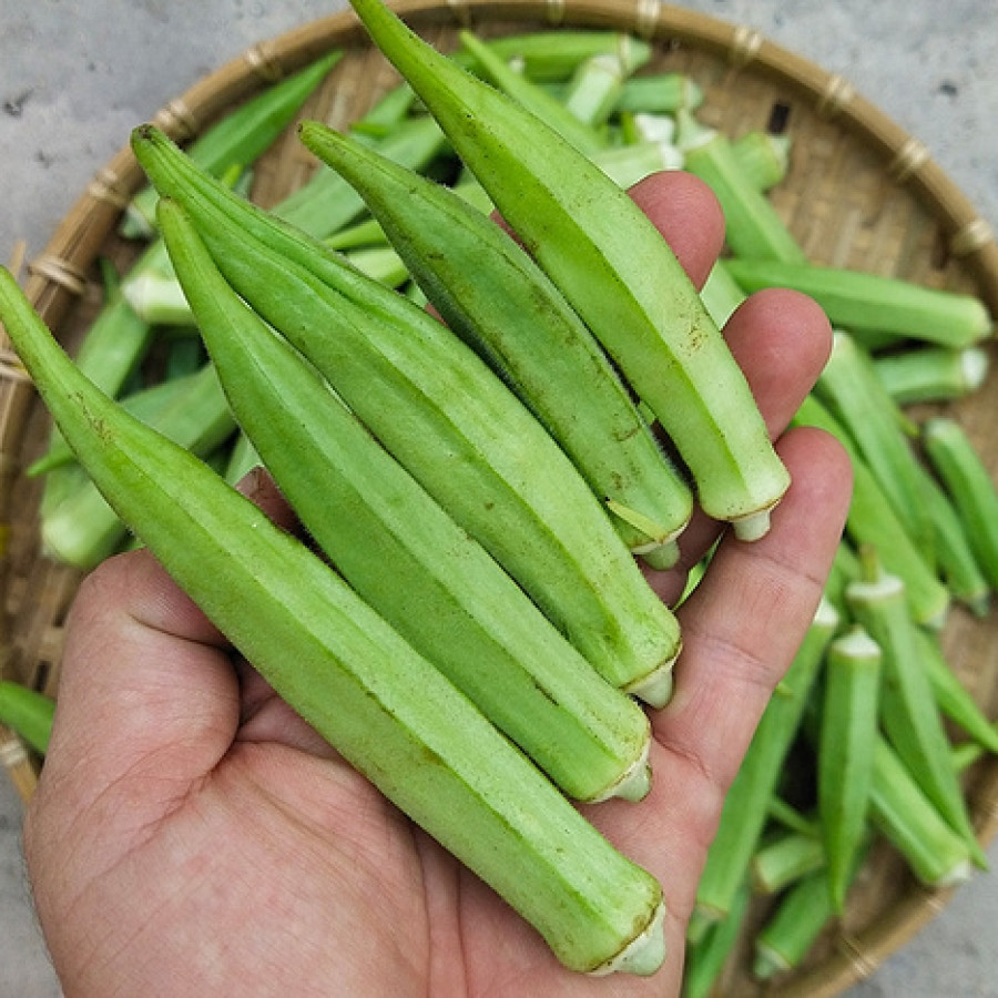 BUYER PHẦN LAN TÌM NHÀ CUNG CẤP RAU CỦ TƯƠI