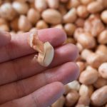 KHÁCH MUA ĐẬU PHỘNG BÓC VỎ
