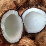 KHÁCH MUA DỪA KHÔ