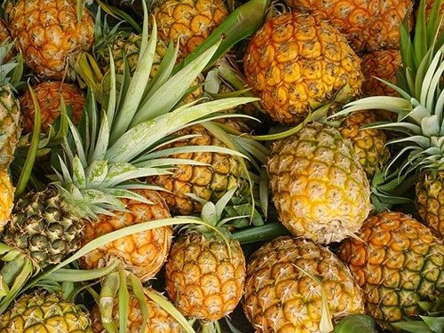 BUYER ĐAN MẠCH TÌM NHÀ CUNG CẤP DỨA TƯƠI