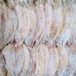 KHÁCH MUA MỰC KHÔ