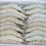KHÁCH MUA TÔM THẺ CHÂN TRẮNG ĐÔNG LẠNH
