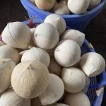 KHÁCH HÀNG MUA DỪA TƯƠI