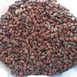 KHÁCH MUA HẠT CA CAO TỰ NHIÊN