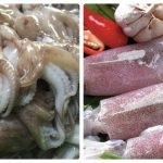 KHÁCH MUA BẠCH TUỘC, MỰC VÀ TÔM ĐÔNG LẠNH