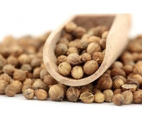 ĐƠN HÀNG GIA VỊ NGUYÊN HẠT – TÌM NHÀ CUNG CẤP CORIANDER, CUMIN VÀ STAR ANISE