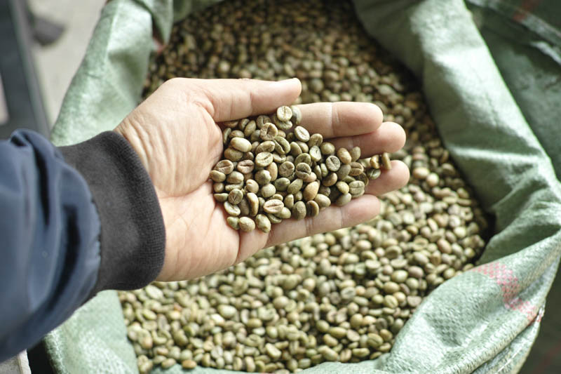 BUYER TURKEY TÌM NHÀ CUNG CẤP HẠT ARABICA VÀ ROBUSTA