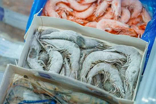 TÌM NHÀ CUNG CẤP TÔM, MỰC VÀ CÁC LOẠI HẢI SẢN ĐÔNG LẠNH