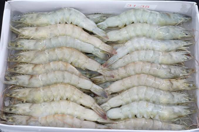 ĐƠN HÀNG HẢI SẢN ĐÔNG LẠNH – NHU CẦU NHẬP KHẨU TÔM, MỰC VÀ TÉP