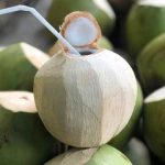 KHÁCH MUA DỪA TƯƠI TENDER COCONUT