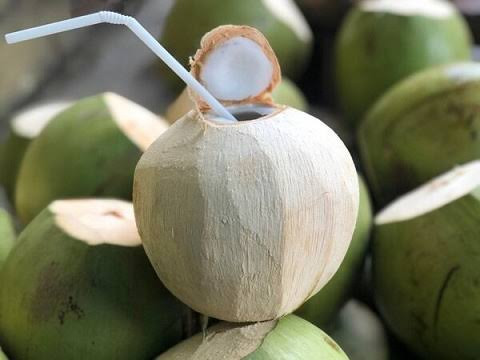 BUYER SINGAPORE TÌM NHÀ CUNG CẤP DỪA TƯƠI TENDER COCONUT