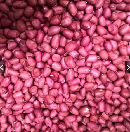 BUYER UAE TÌM NHÀ CUNG CẤP ĐẬU PHỘNG