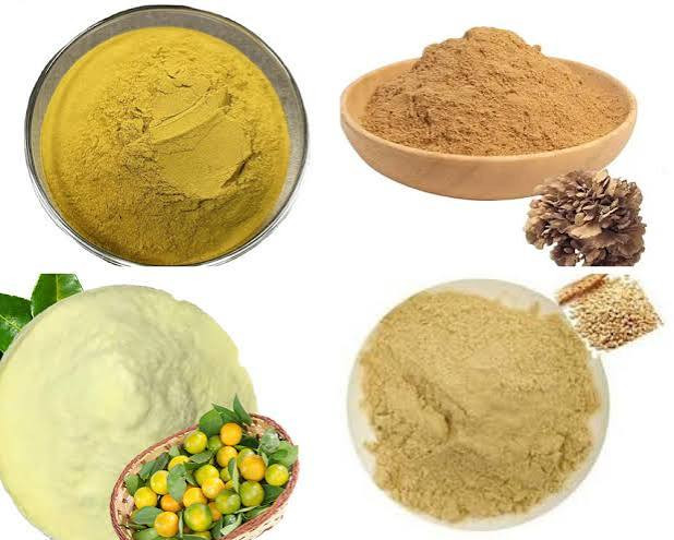 ĐƠN HÀNG CHIẾT XUẤT THẢO DƯỢC DẠNG BỘT – TÌM NHÀ CUNG CẤP ROSEMARY EXTRACT, PRIMROSE EXTRACT
