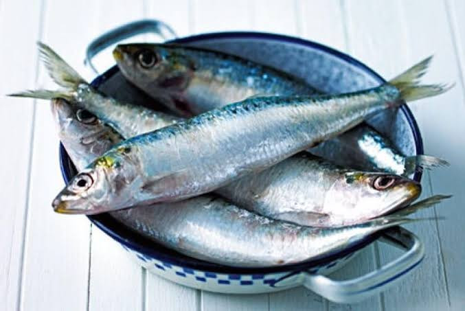 BUYER AUSTRALIA TÌM NHÀ CUNG CẤP CÁ NGỪ VÀ CÁ MÒI ĐÔNG LẠNH