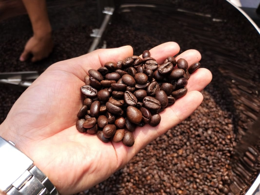 BUYER OMAN TÌM NHÀ CUNG CẤP HẠT CÀ PHÊ COLOMBIA SUPREMO, EXCELSO