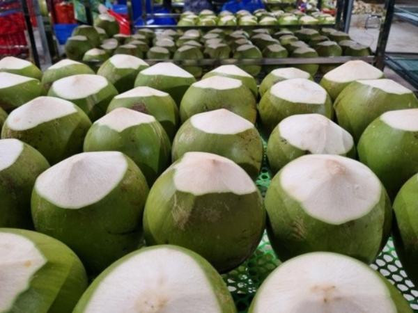 BUYER QUỐC TẾ TÌM NHÀ CUNG CẤP SEMI HUSKED COCONUT SANG BAHRAIN