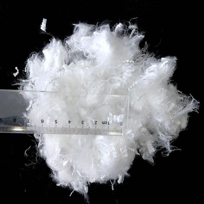 BUYER QUỐC TẾ TÌM NHÀ CUNG CẤP POLYESTER STAPLE FIBER SANG BỈ