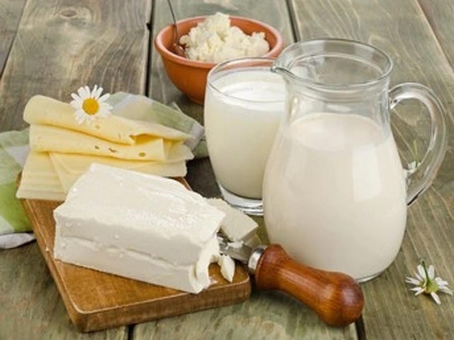 Buyer tìm nhà cung cấp sữa, phô mai, bơ (Dairy Product), số lượng 1 container 20 feet