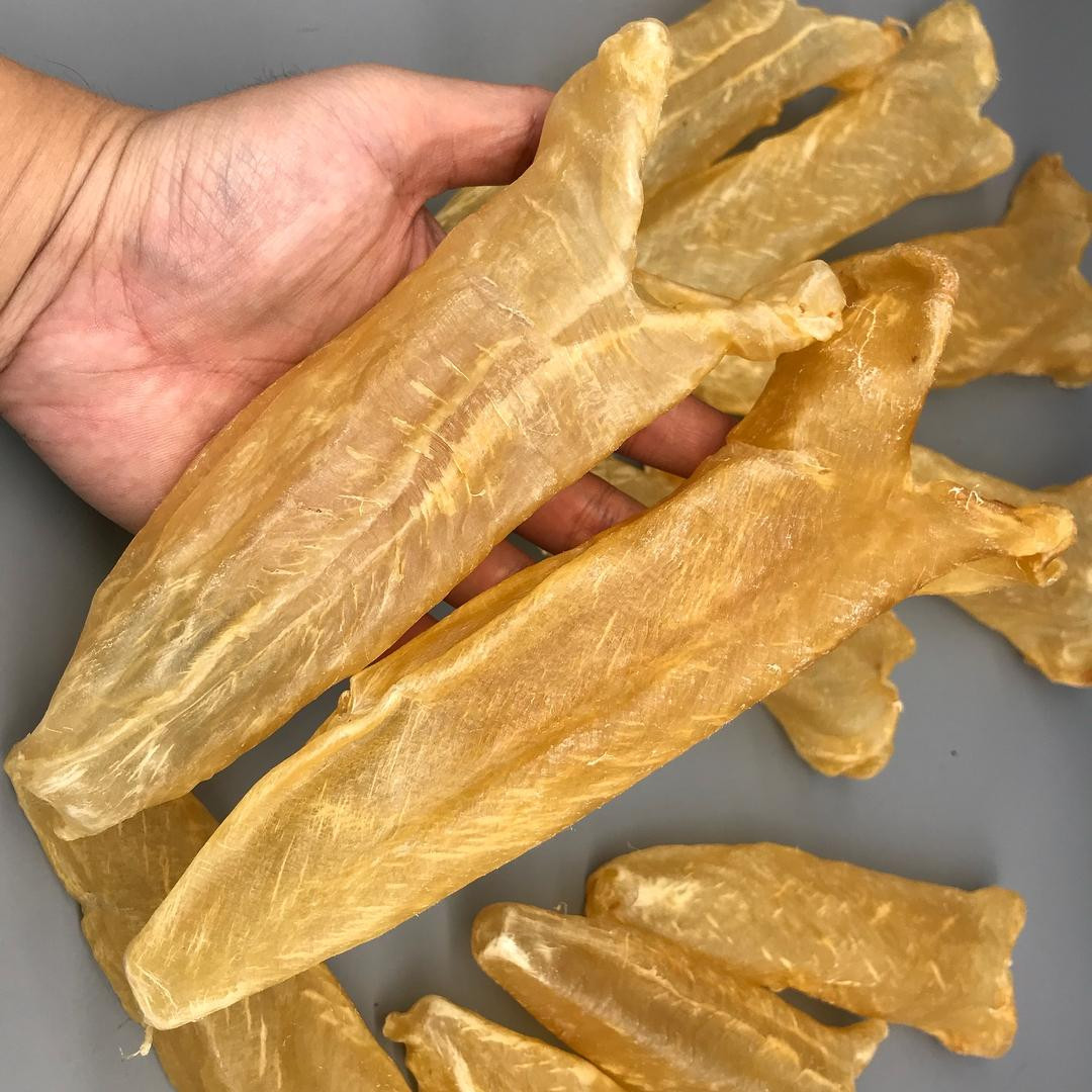 Buyer tìm nhà cung cấp Dried Tuna Fish Maws, số lượng 1 container 20 feet