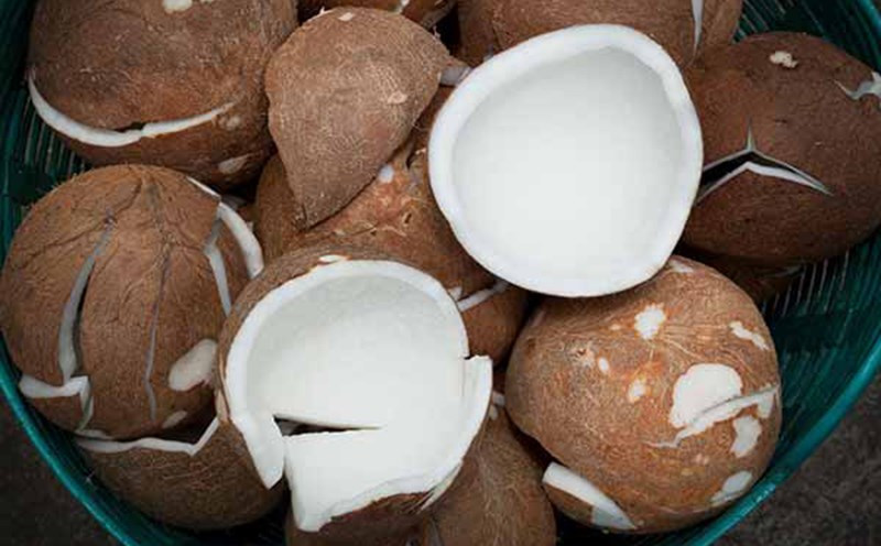 Buyer tìm nhà cung cấp Dried Coconut Copra (HS 12030000), số lượng 1 container 20 feet