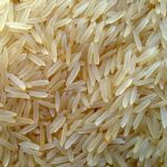 Đơn hàng gạo Basmati Sella 1121 xuất khẩu sang Hoa Kỳ