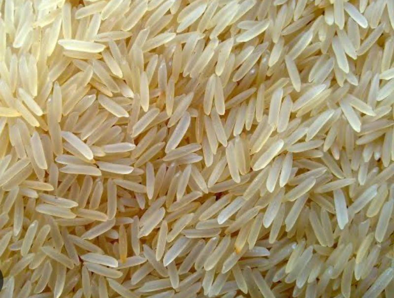 Buyer tìm nhà cung cấp gạo chất lượng cao, số lượng 1 container 20 feet